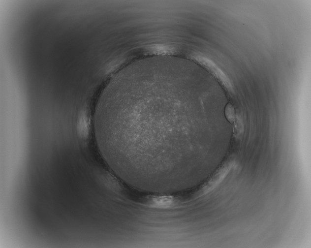 X0000102300355200807251439