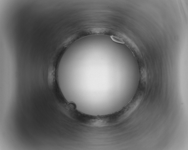 X0000102300356200807251439