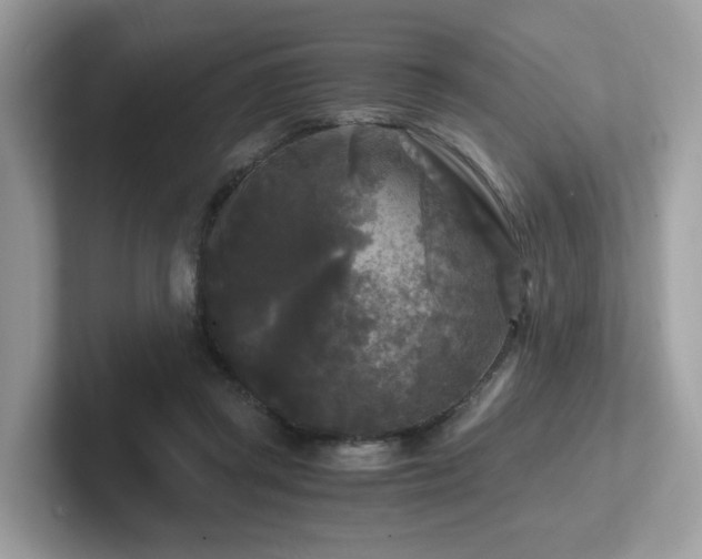 X0000102300357200807251439