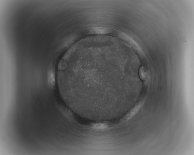 X0000102300358200807251439