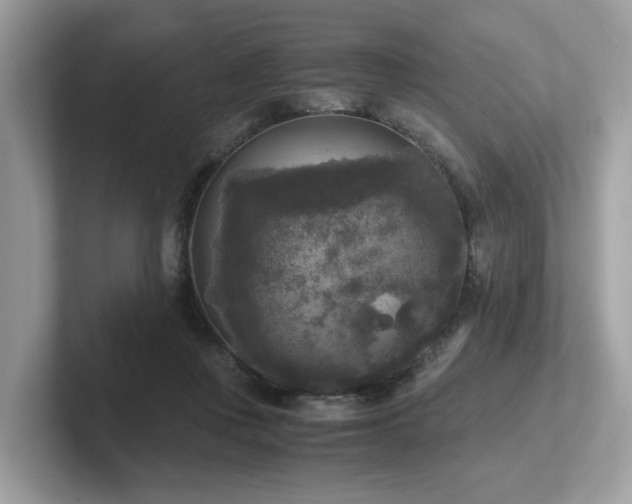 X0000102300359200807251439