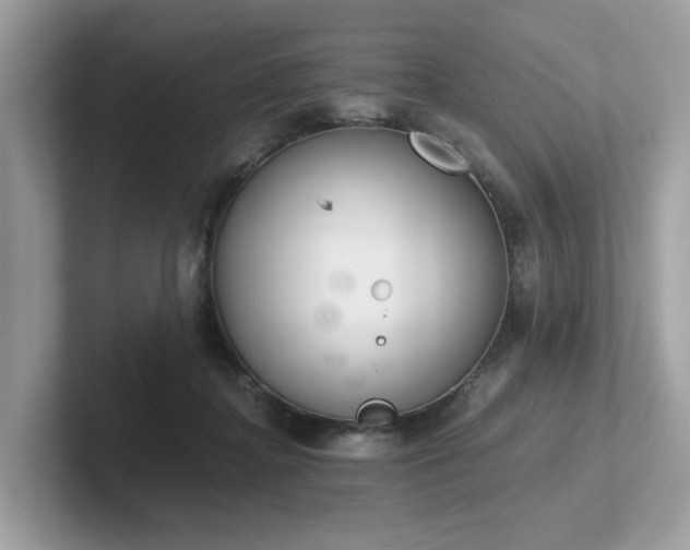 X0000102300364200807251440