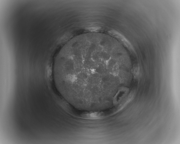 X0000102300365200807251440