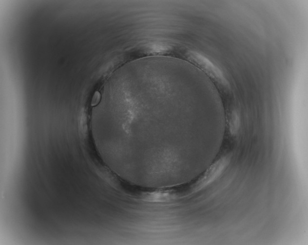 X0000102300366200807251440