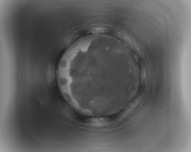 X0000102300367200807251440