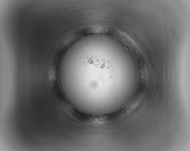 X0000102300368200807251440