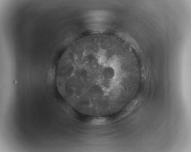 X0000102300369200807251440