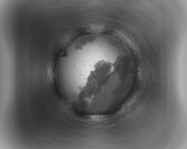 X0000102300371200807251440