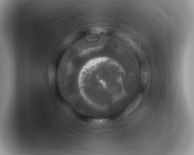 X0000102300375200807251440