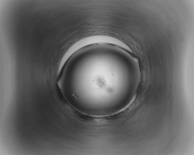 X0000102300376200807251440