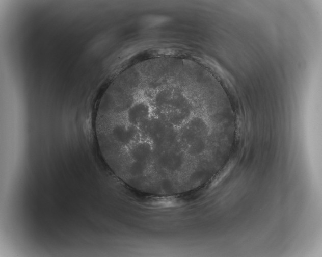 X0000102300377200807251440