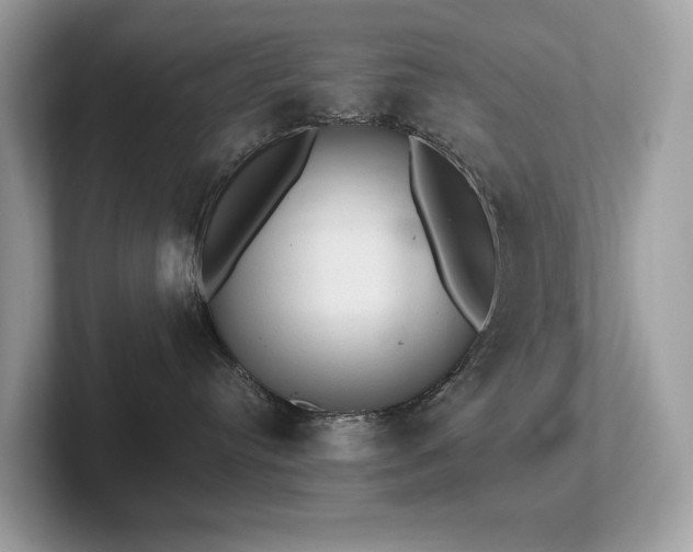 X0000102300384200807251440