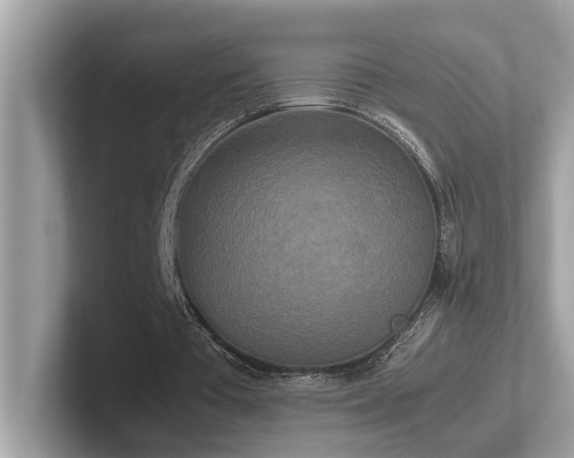 X0000102300385200807251439