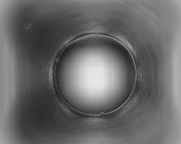 X0000102300389200807251439