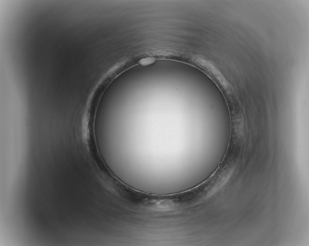 X0000102300395200807251439