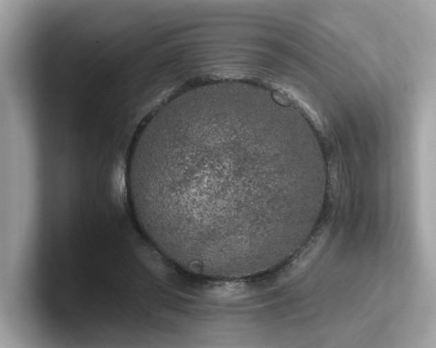 X0000102300398200807251439