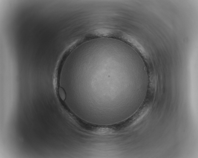 X0000102300399200807251439