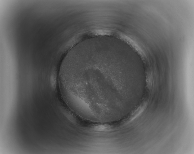 X0000102300402200807251439