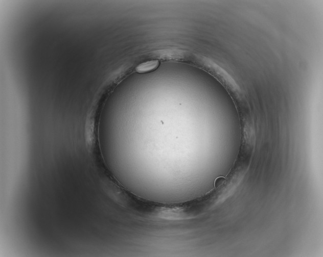 X0000102300403200807251439