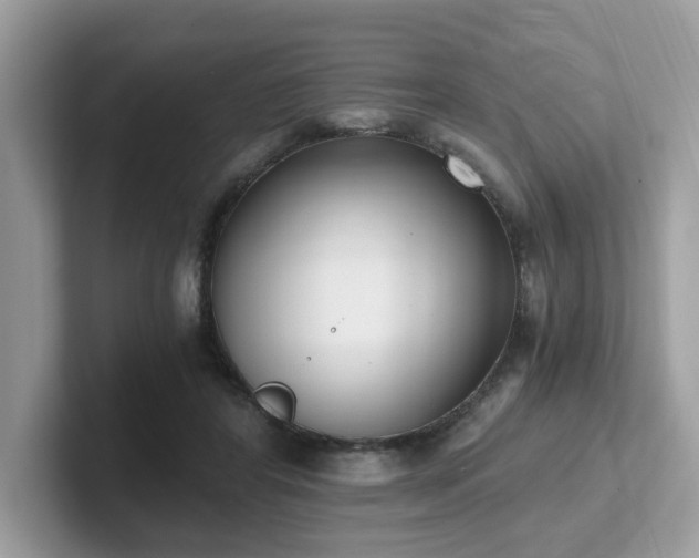 X0000102300404200807251439