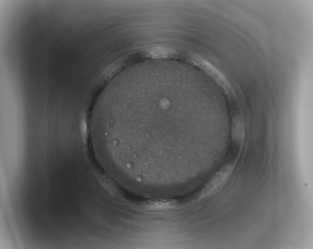 X0000102300405200807251439