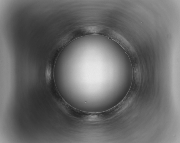 X0000102300406200807251439