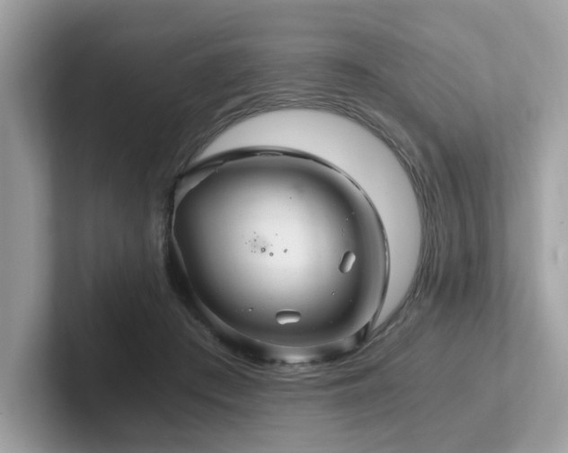 X0000102300409200807251439