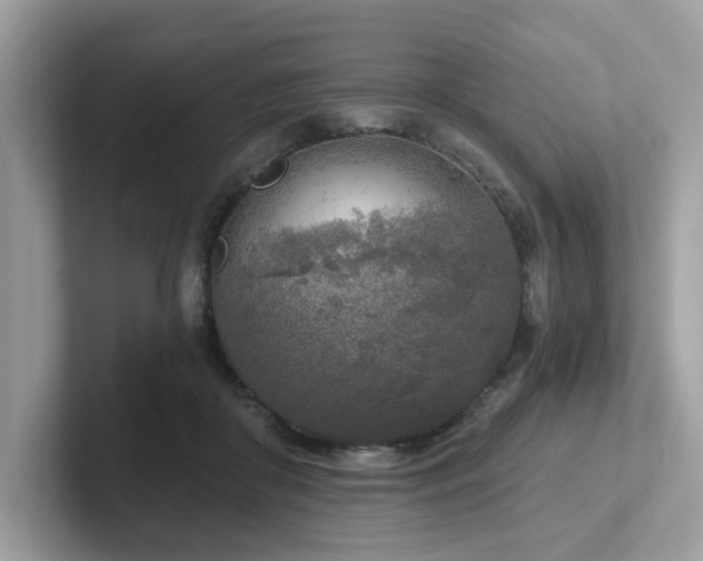 X0000102300410200807251439