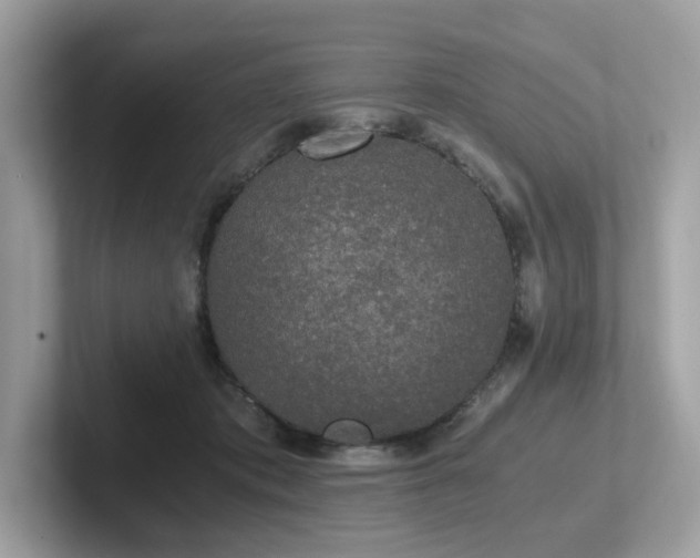 X0000102300413200807251439