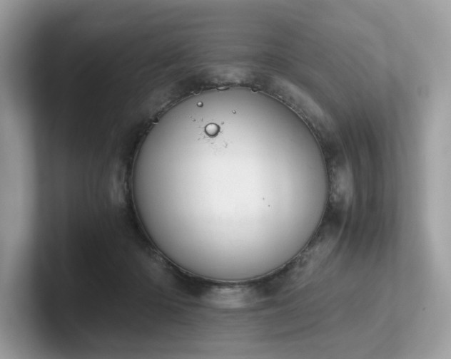 X0000102300414200807251439