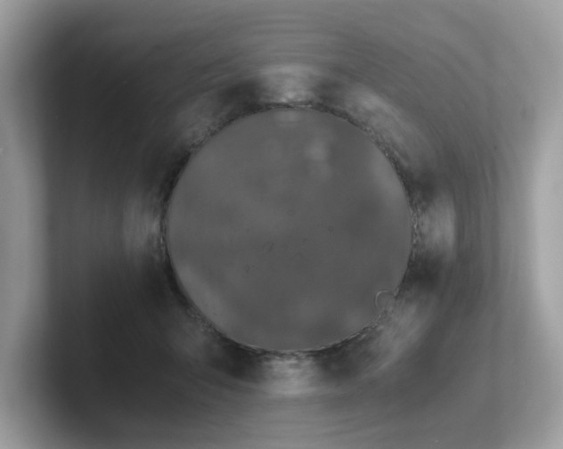 X0000102300415200807251439