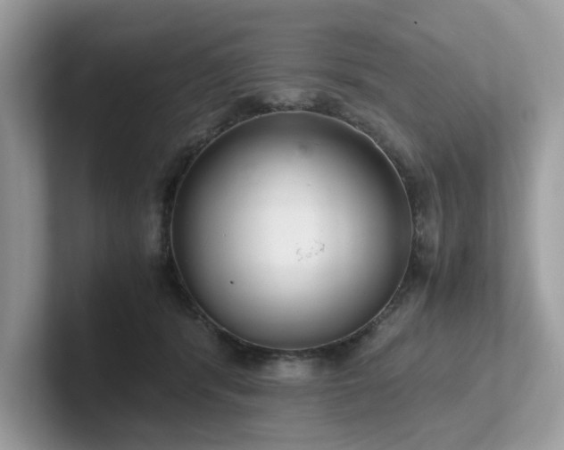 X0000102300416200807251439