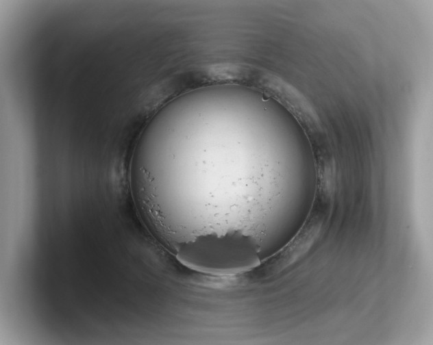 X0000102300418200807251439