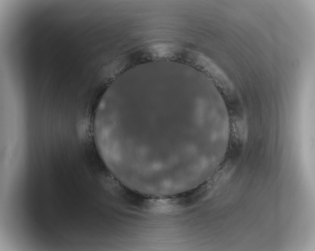 X0000102300419200807251439