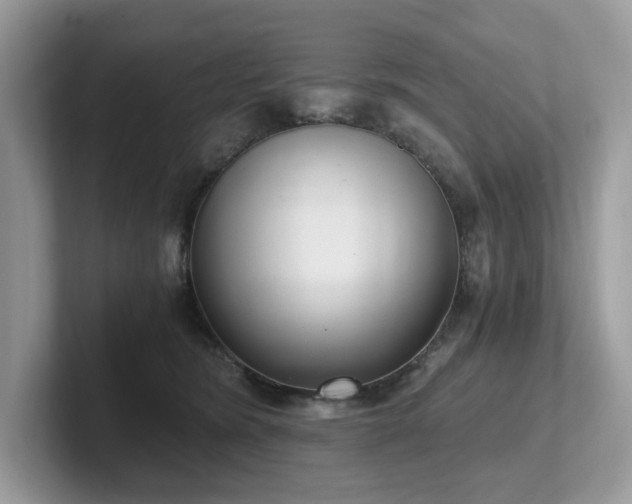 X0000102300420200807251439