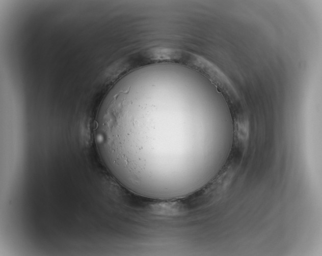 X0000102300422200807251439