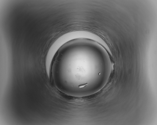 X0000102300423200807251439