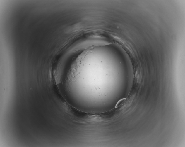 X0000102300424200807251439