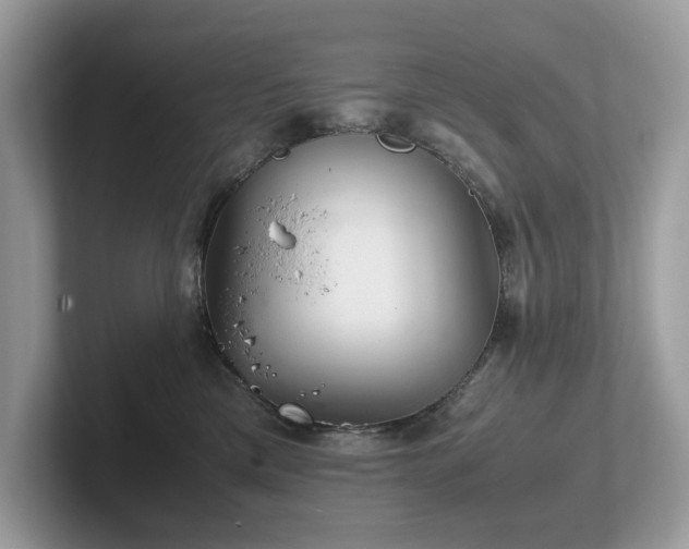 X0000102300425200807251439