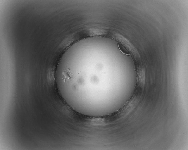 X0000102300426200807251439