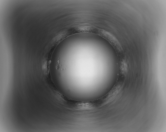 X0000102300428200807251439