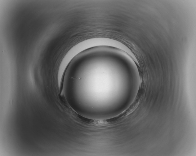 X0000102300429200807251439