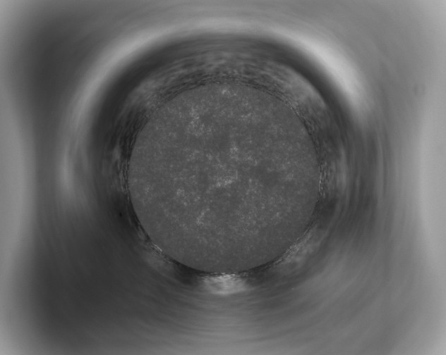 X0000102300431200807251439