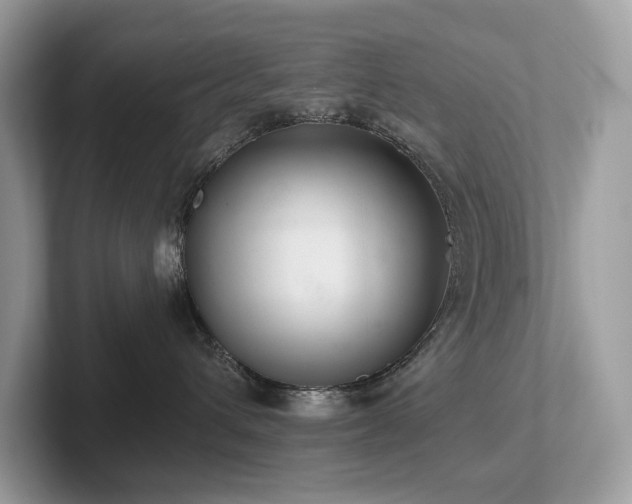 X0000102300432200807251439