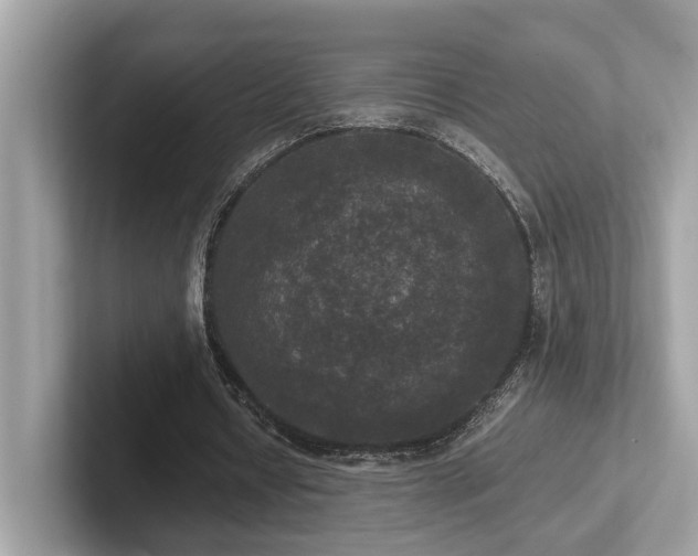 X0000102300434200807251438