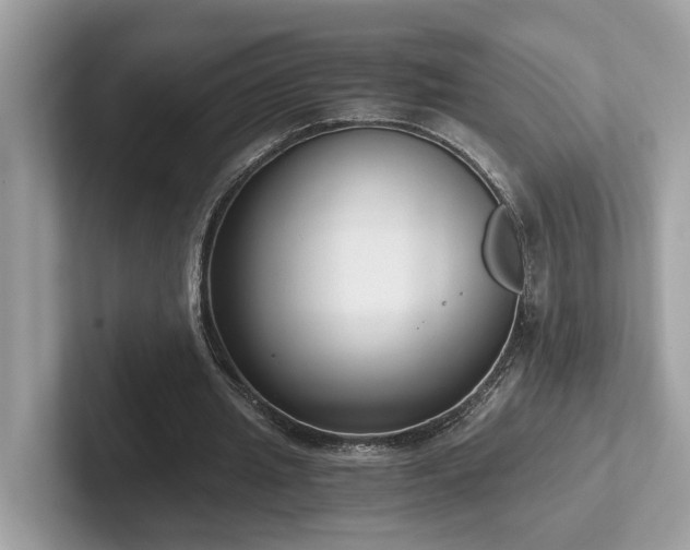 X0000102300437200807251438