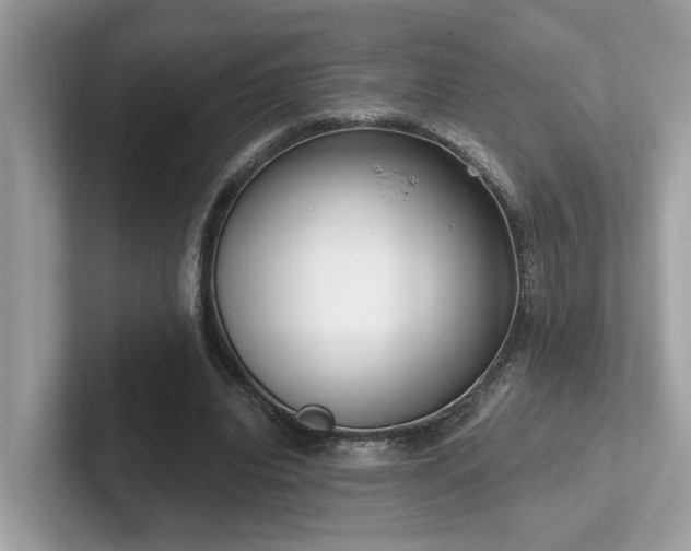 X0000102300440200807251438