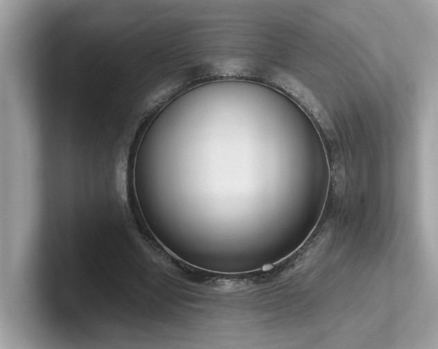 X0000102300442200807251438