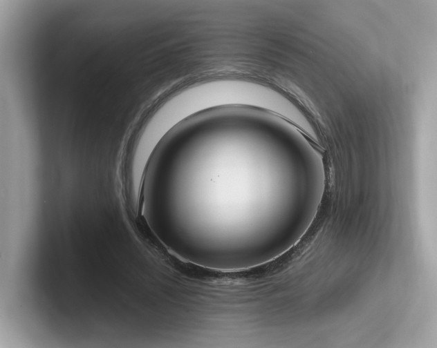 X0000102300444200807251438