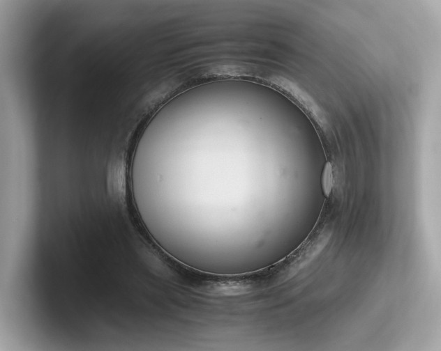 X0000102300445200807251438